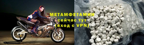 прущие грибы Вяземский