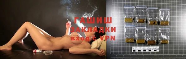 стафф Вязьма