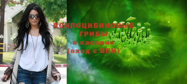 стафф Вязьма