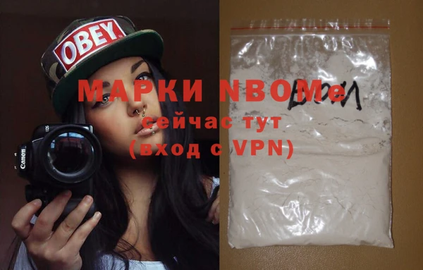 стафф Вязьма