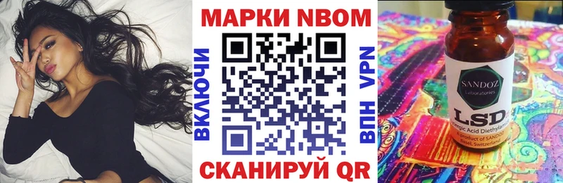 наркошоп  МЕГА tor  Наркотические марки 1,8мг  Верхняя Пышма 