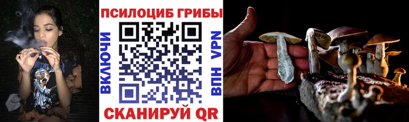 Галлюциногенные грибы мицелий  купить закладку  Верхняя Пышма 